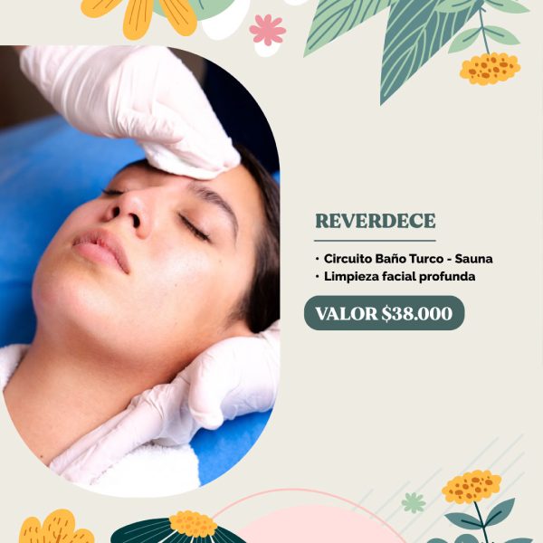 Reverdece
