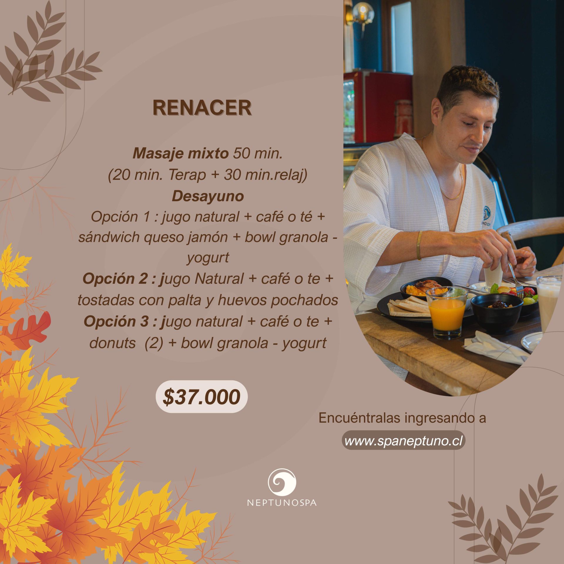 RENACER